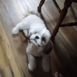 patrick harsha - @harsha.patrick - Instagram