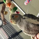 Patrick Harshaw - @_patrick_harshaw_ - Instagram