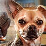 Patrick Hartman - @hartman_patrick - Instagram