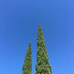 patrick Hawthorne - @patrickhawthorne - Instagram