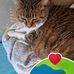 Patrick Haye - Facebook