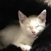 Patrick Heath - @patrickheath2864 - TikTok
