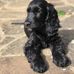 Patrick Heaton - Facebook