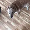 patrickheavener - @patrickheavener - TikTok