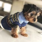 Patrick Hegarty - @patrick.hegarty.311 - Instagram