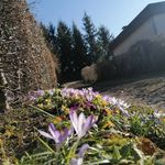 Patrick Heintz - @heintz_patrick - Instagram