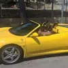 Patrick Heintz - @patrickheintz67 - TikTok