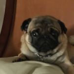 @pat_rickhellberg - Instagram