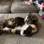 Patrick Hellums - Facebook