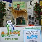 Patrick Helly - @patrickhelly - Instagram
