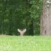Helmick Patrick - Facebook