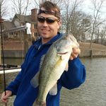 Patrick Helms - @patricklhelms - Instagram