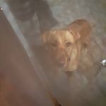 Patrick Helms - @patrickhelms2008 - Instagram
