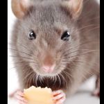 Patrick Helms - @patrick.helms.7906 - Instagram