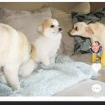 Patrick Helton - @5star.patrick - Instagram