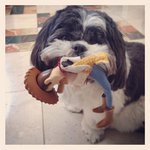 Patrick Hendershott - @patrickhendershott - Instagram