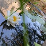 Patrick_KY - @patrick_henehan - Instagram