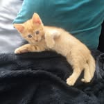 Patrick Herbin - @patrickherbin - Instagram