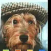 Patrick Herman - @patrick.herman62 - TikTok