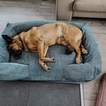 Patrick Hermans - @patrick.hermans.71 - Instagram
