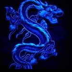 Patrick Hermans - @elchapo23456789 - Instagram
