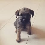 patrick herzberg - @patrickherzberg0.14 - Instagram
