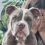 Patrick Hessler - @patrick_hessler_ - Instagram