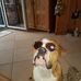 Patrick Hessler - Facebook