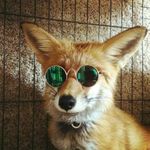 Hewson Patrick - @patrick_hewson1 - Instagram