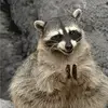 Patrick H - @patrick_hewson - TikTok