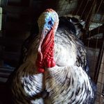 Patrick Hillary - @hillary_patrick - Instagram