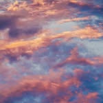 Patrick Hines - @patrickhinesmok47895 - Instagram