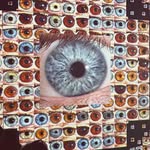 Patrick Hines - @patrickquinnhines - Instagram