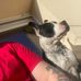 Patrick Hasle - Facebook