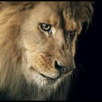 Patrick Hitzberger - @patrick_hitzberger - Instagram