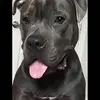 Patrick Ho - @patrick.ho72 - TikTok