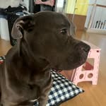 patrick ho - @patty.hoe - Instagram