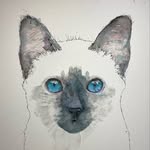 Patrick Hobbie - @cats_of_virtue - Instagram
