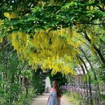 Patrick Hoch - @patrickhoch_ - Instagram