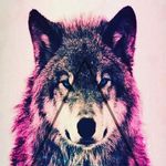 patrick hoch - @hoch.patrick - Instagram