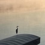 Patrick Hodapp - @patrickdhodapp - Instagram