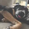 Patrick Hodges - @ie.ph - TikTok
