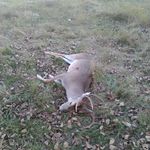 Patrick Hodges - @patrick.hodges_2000 - Instagram