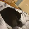 Patrick Hodges - @patrick.hodges2 - TikTok