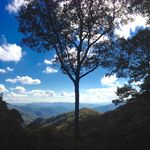 Patrick Hodges - @patrickhodges7 - Instagram