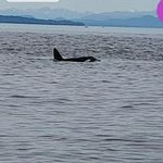 Patrick Hodges - @patrick.hodges.399 - Instagram