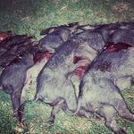 Patrick Hodges - @patrick_hodges16 - Instagram