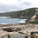 Patrick Hollis - @patrick_holis - Instagram