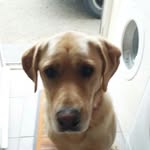 patrick holohan - @patrick.holohan - Instagram