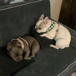 Patrick Van Den Holstein - @bigd.og5213 - Instagram